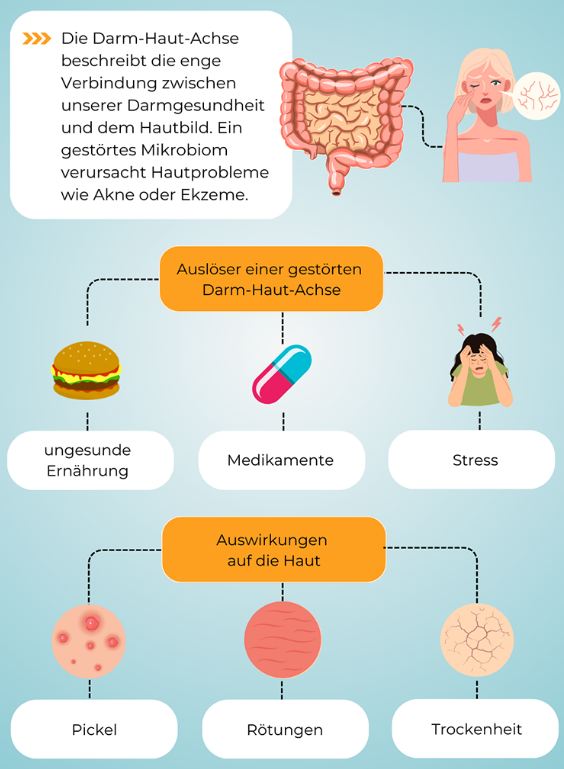 Die Darm-Haut-Achse – Wie dein Inneres deine Haut widerspiegelt