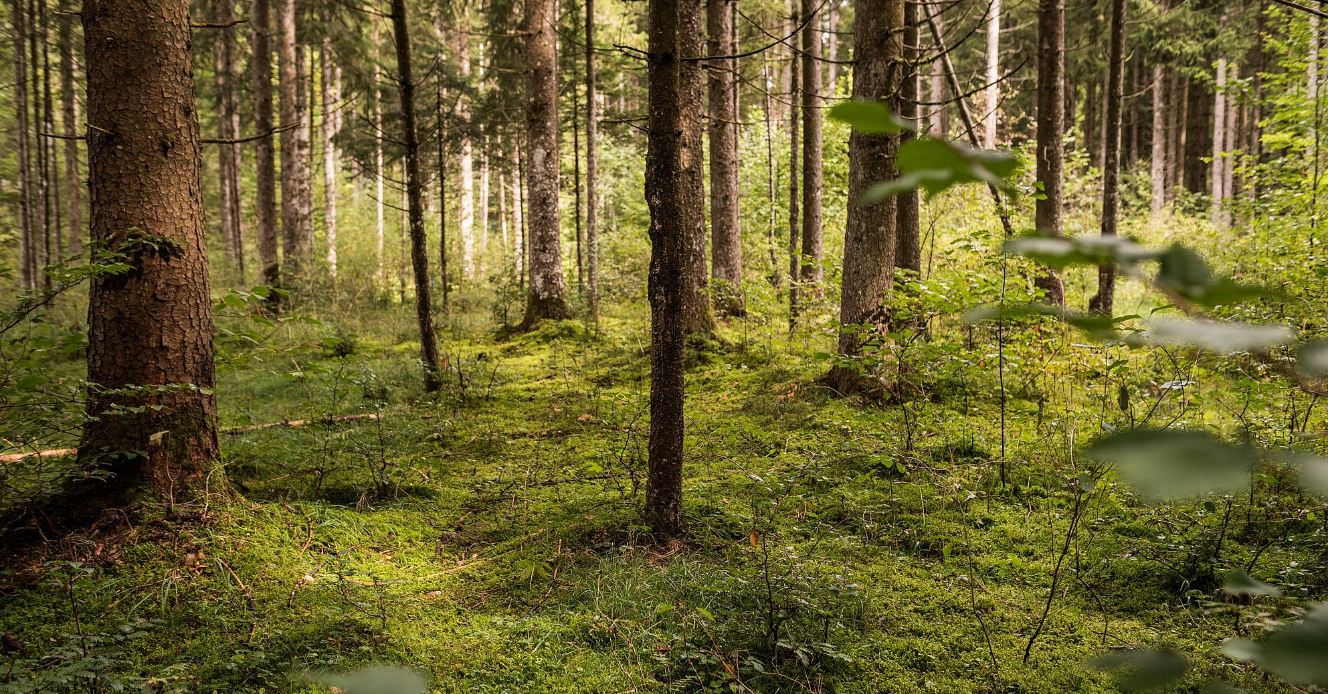 Einfach Sein – Die Kunst, wieder bei dir anzukommen